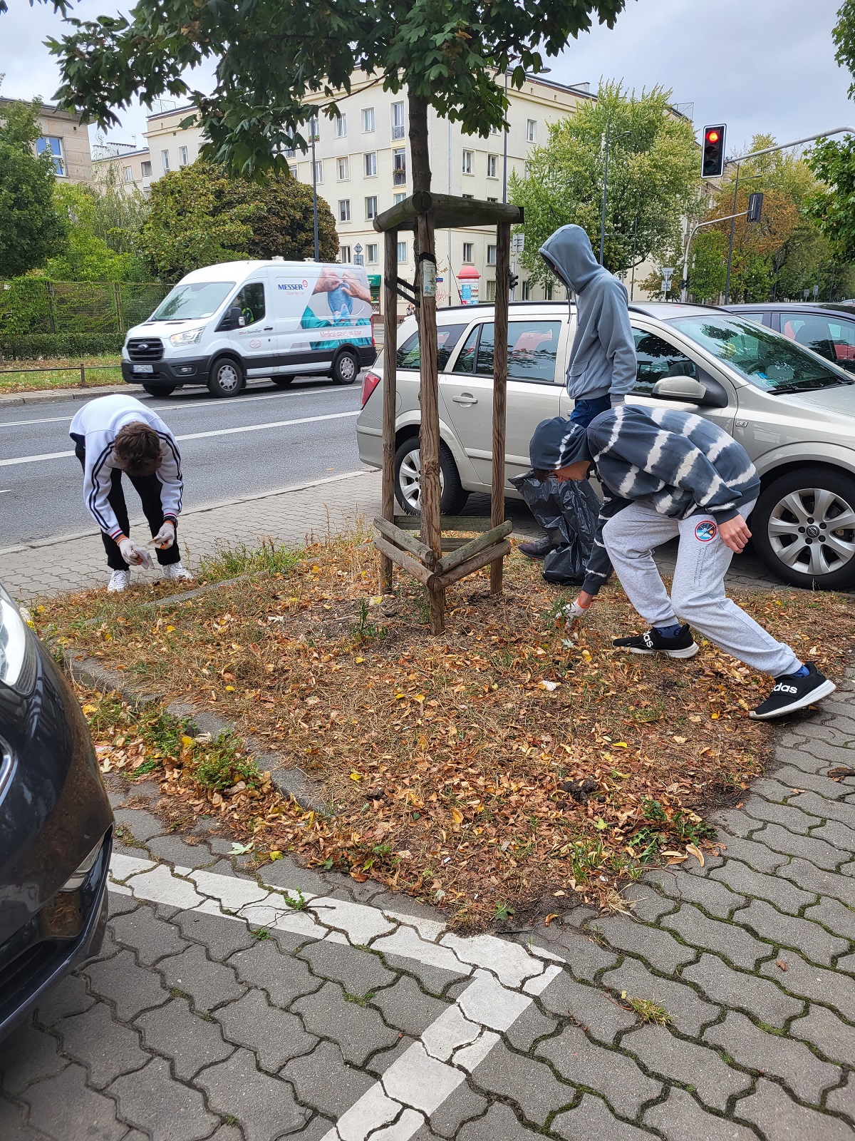 sprzatanie dla polski 2