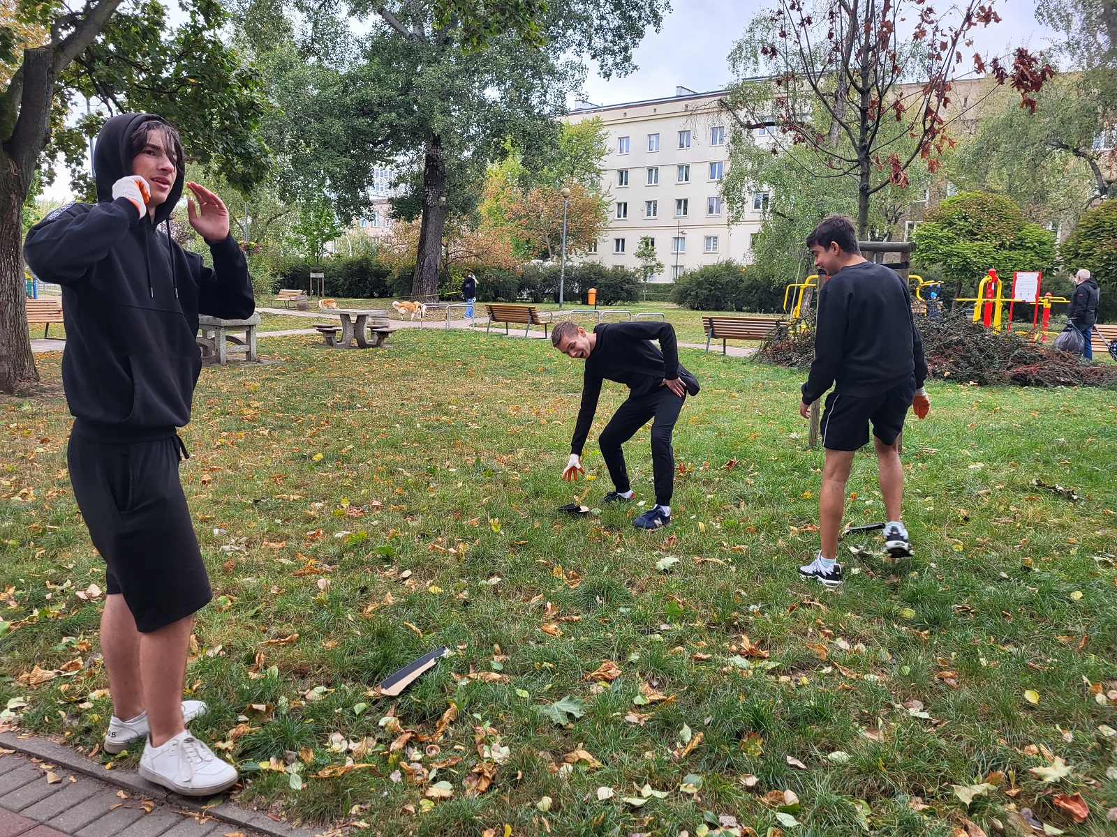 sprzatanie dla polski 2